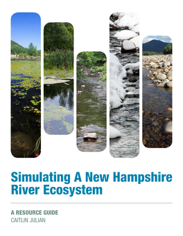 Simulating a New Hampshire River Ecosystem