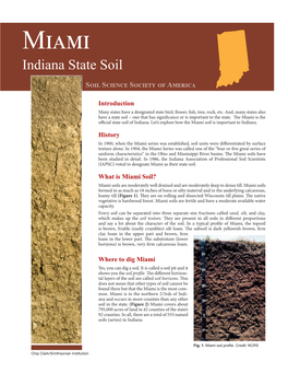 Indiana State Soil