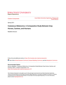 Cutaneous Melanoma: a Comparative Study Between Gray Horses, Canines, and Humans