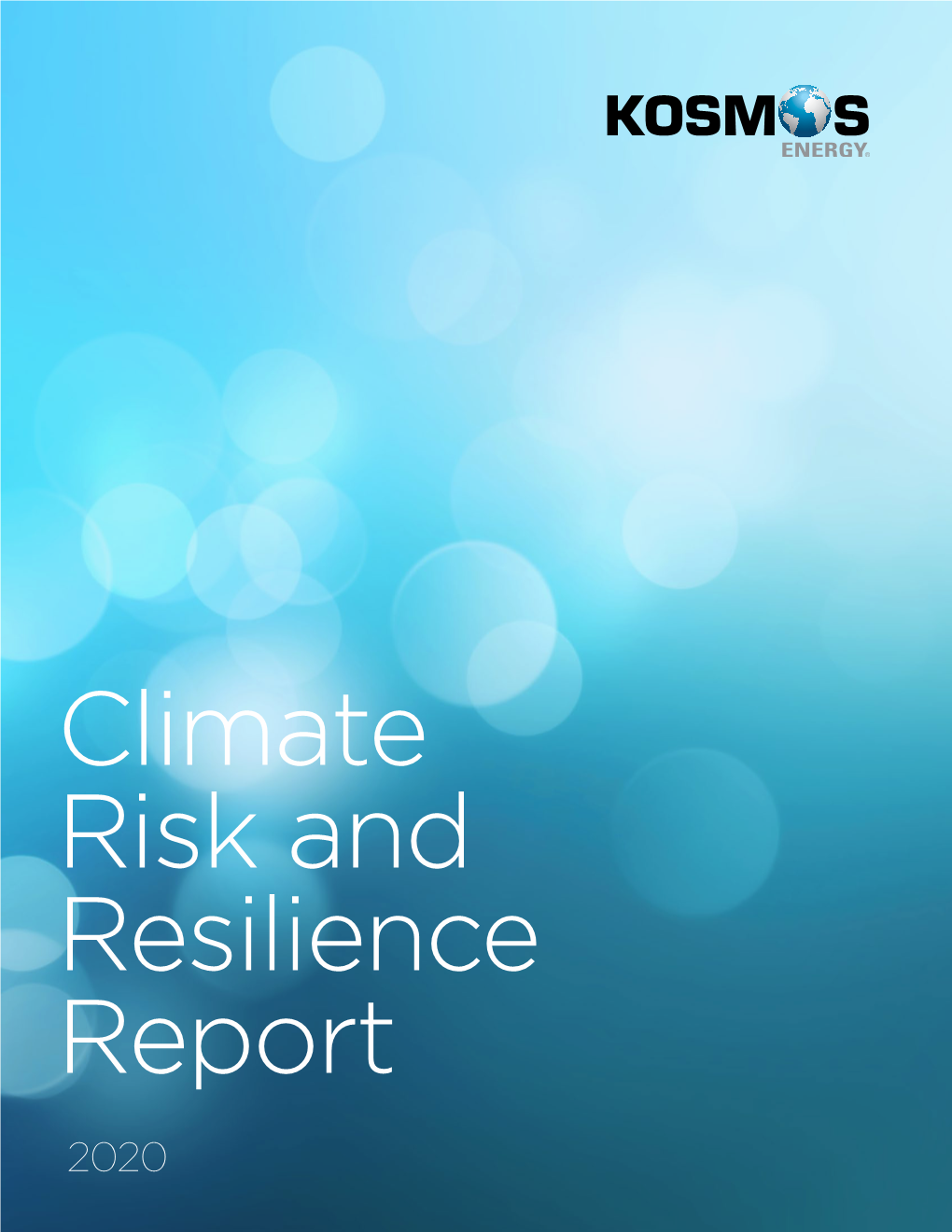 Climate Risk and Resilience Report