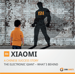 XIAOMI a CHINESE SUCCESS STORY the ELECTRONIC GIANT – WHAT S BEHIND What Is Xiaomi?