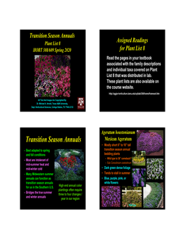 Transition Annuals