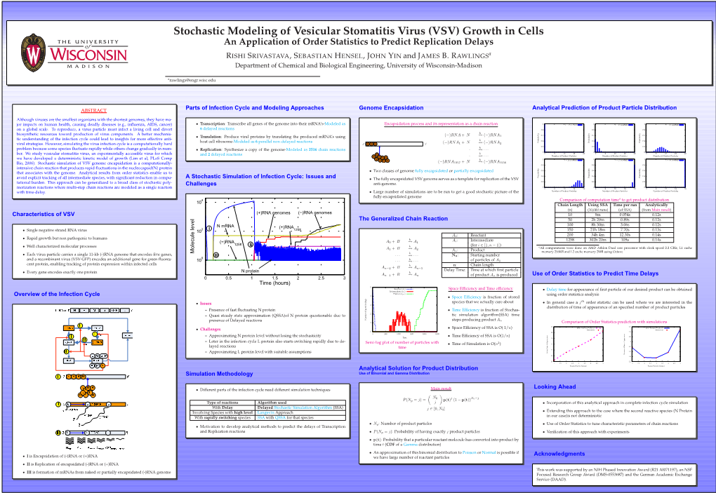 Stochastic Modeling of Vesicular Stomatitis Virus (VSV) Growth in Cells