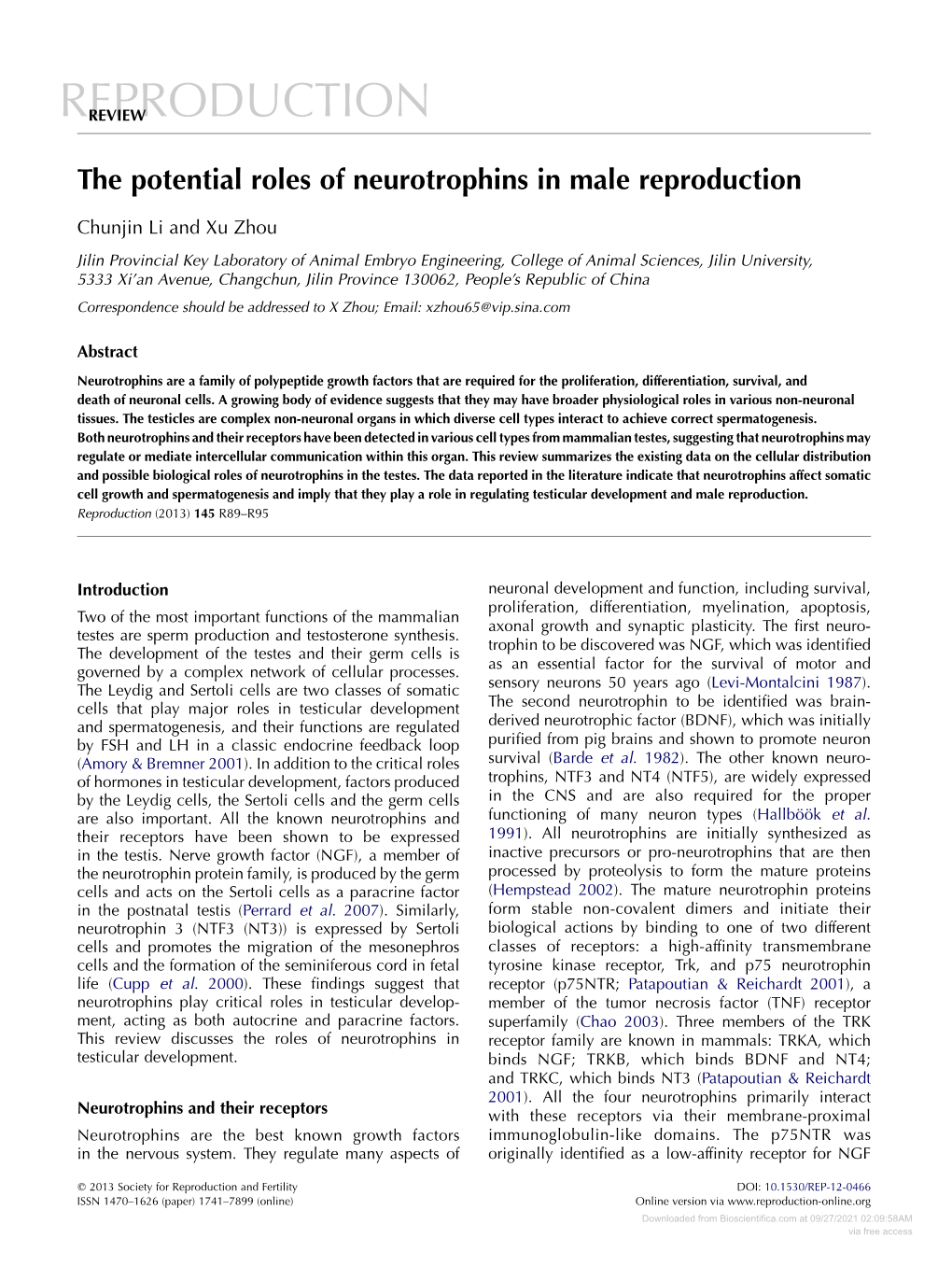 The Potential Roles of Neurotrophins in Male Reproduction