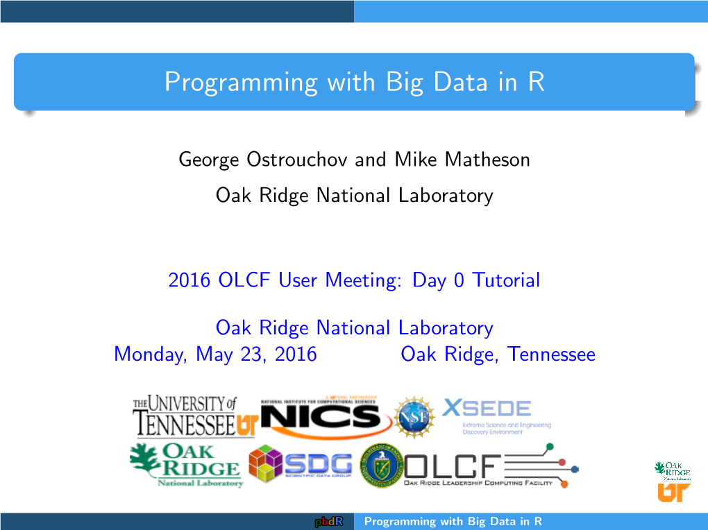 Programming with Big Data in R (Pbdr)