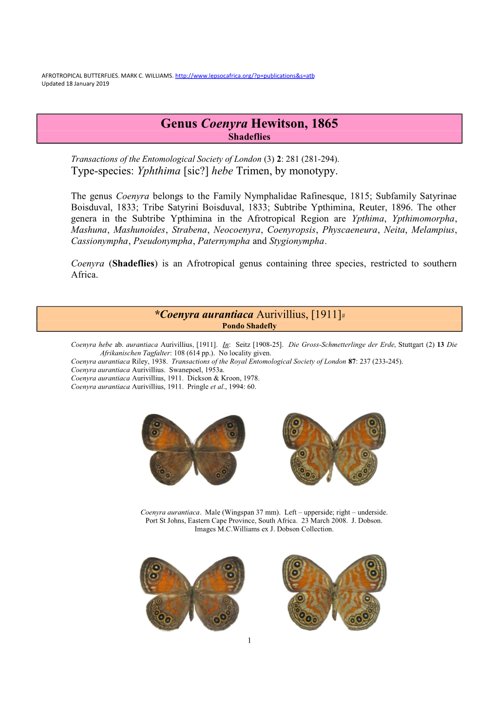 425 Genus Coenyra Hewitson