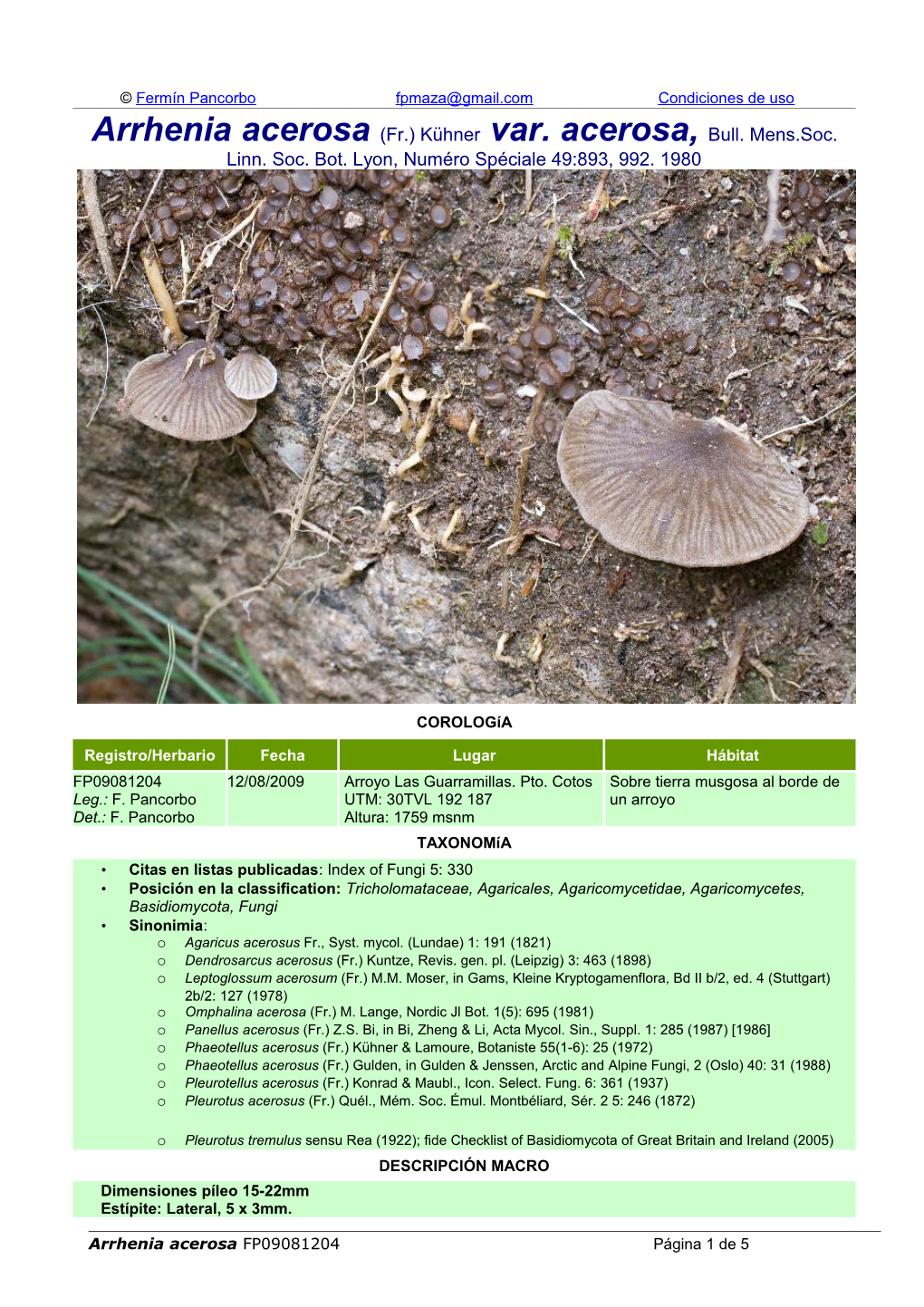 Arrhenia Acerosa (Fr.) Kühner Var. Acerosa, Bull. Mens.Soc. Linn