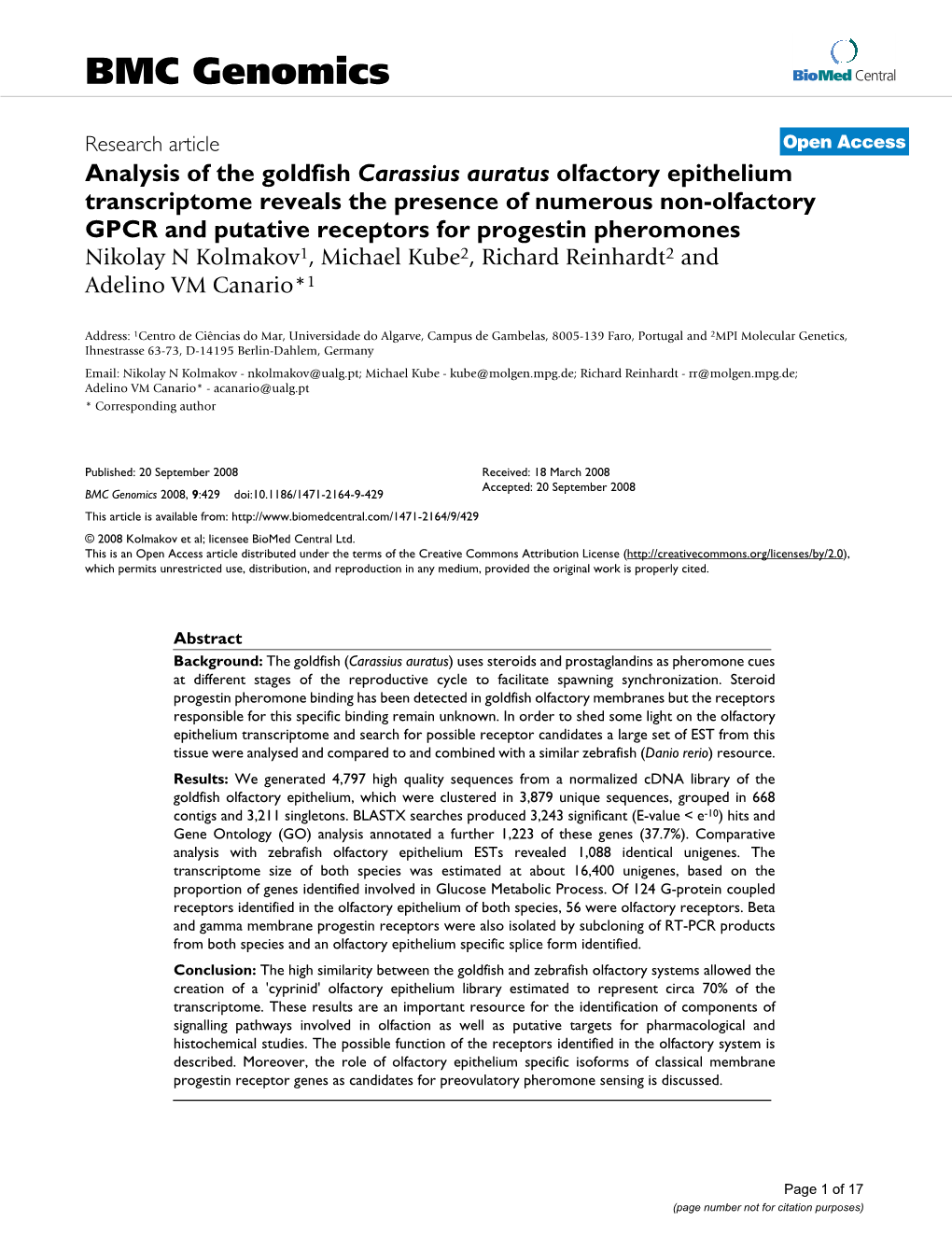 Analysis of the Goldfish Carassius Auratus Olfactory Epithelium