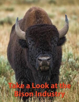 Take a Look at the Bison Industry It’S Called the Bison Advantage Bison Today Represents One of the True Bright Spots in Other- Wise Uncertain Agricultural Economy