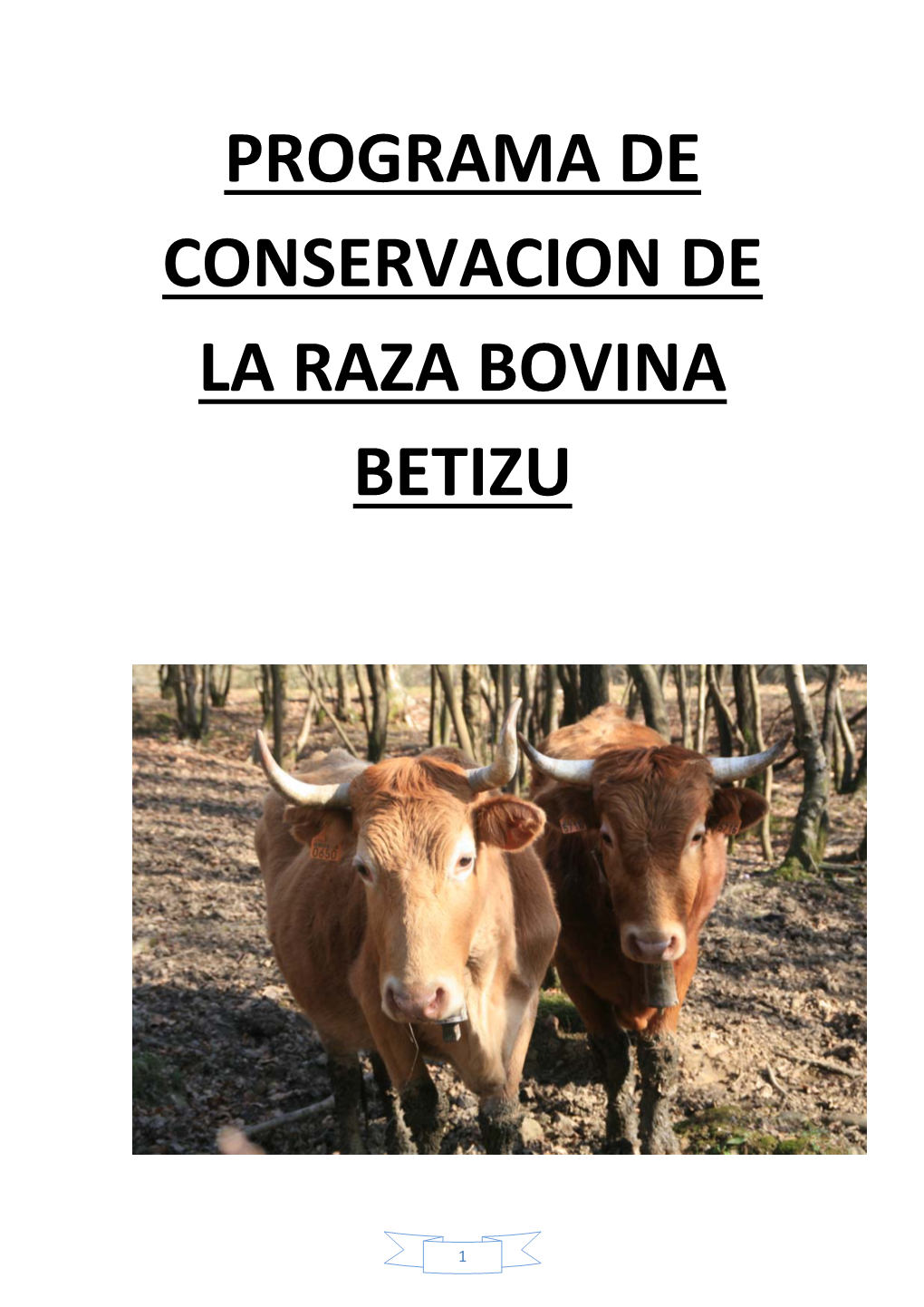 Programa De Conservacion De La Raza Bovina Betizu