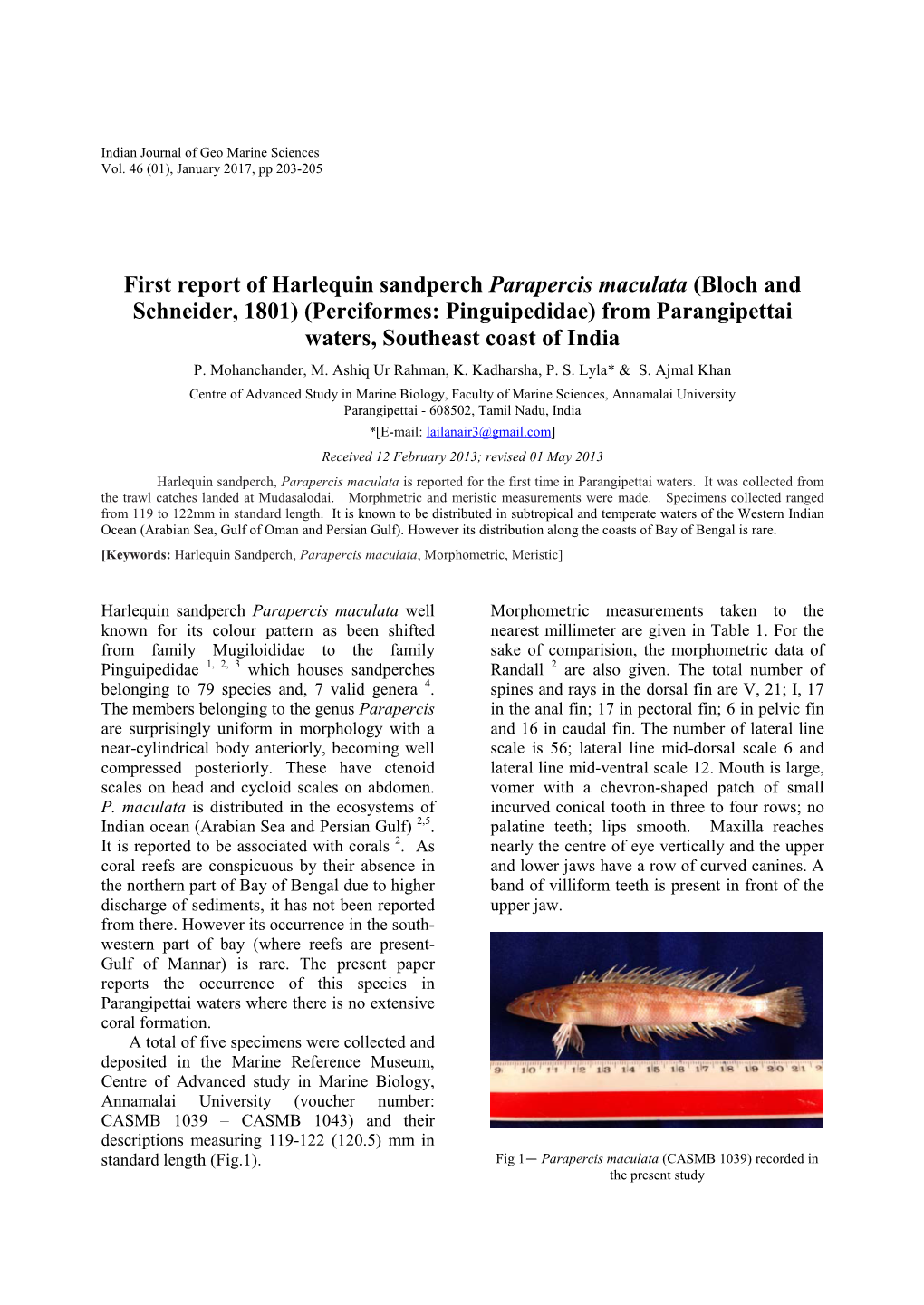First Report of Harlequin Sandperch Parapercis Maculata (Bloch and Schneider, 1801) (Perciformes: Pinguipedidae) from Parangipettai Waters, Southeast Coast of India