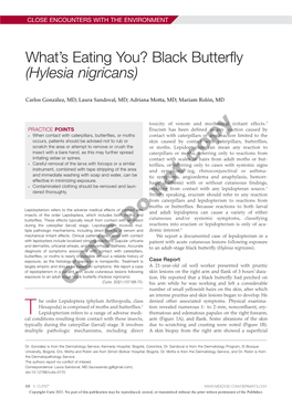 What's Eating You? Black Butterfly (Hylesia Nigricans)