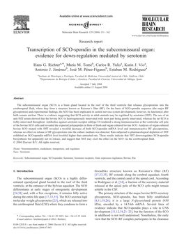 Transcription of SCO-Spondin in the Subcommissural Organ: Evidence for Down-Regulation Mediated by Serotonin