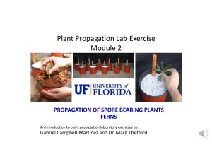 Plant Propagation Lab Exercise Module 2