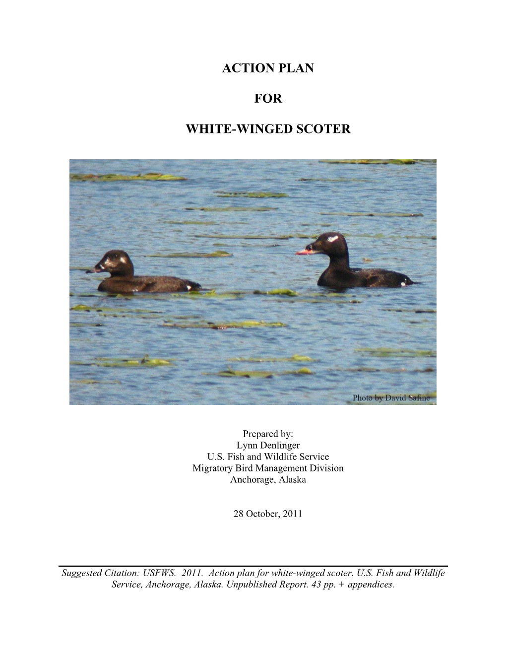 Action Plan for White-Winged Scoter