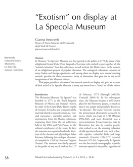 On Display at La Specola Museum