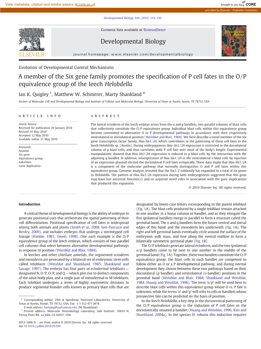 A Member of the Six Gene Family Promotes the Specification of P Cell