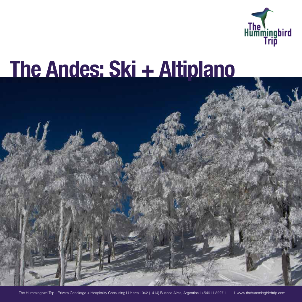The Andes: Ski + Altiplano