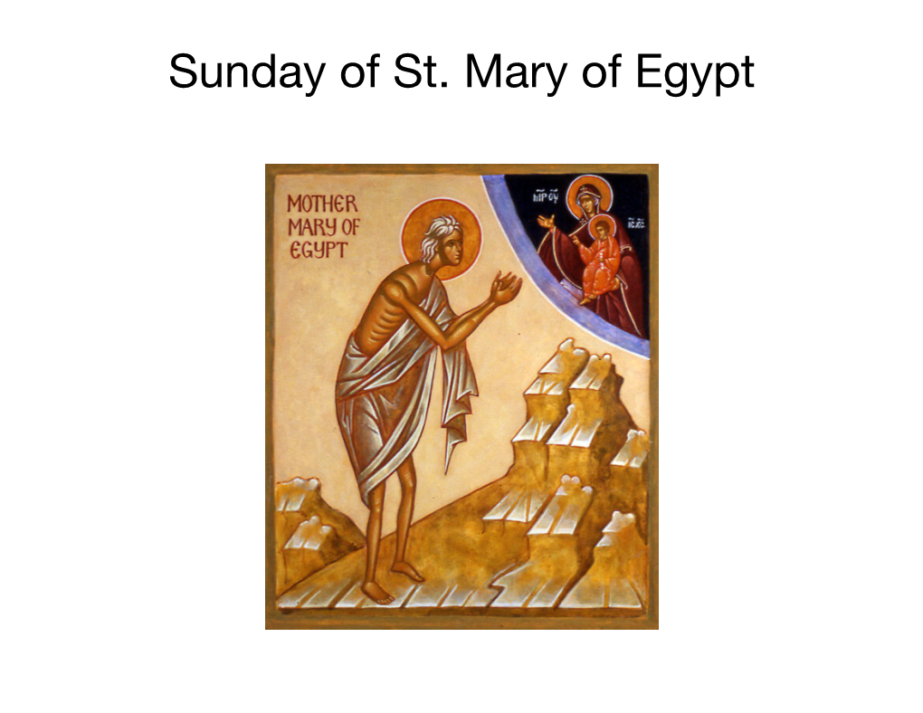 St. Mary of Egypt Prayer: O Lord My God, Enlighten My Mind with the Light of Understanding Thy Word, and Teach Me to Do Thy Will
