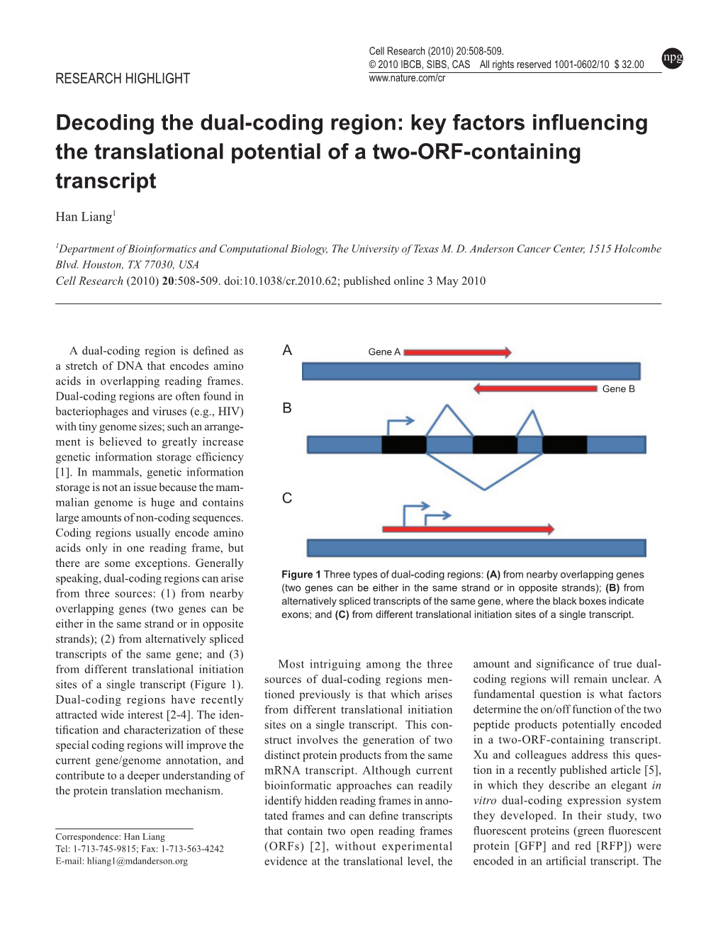 Decoding the Dual-Coding Region: Key Factors Influencing the Translational Potential of a Two-ORF-Containing Transcript