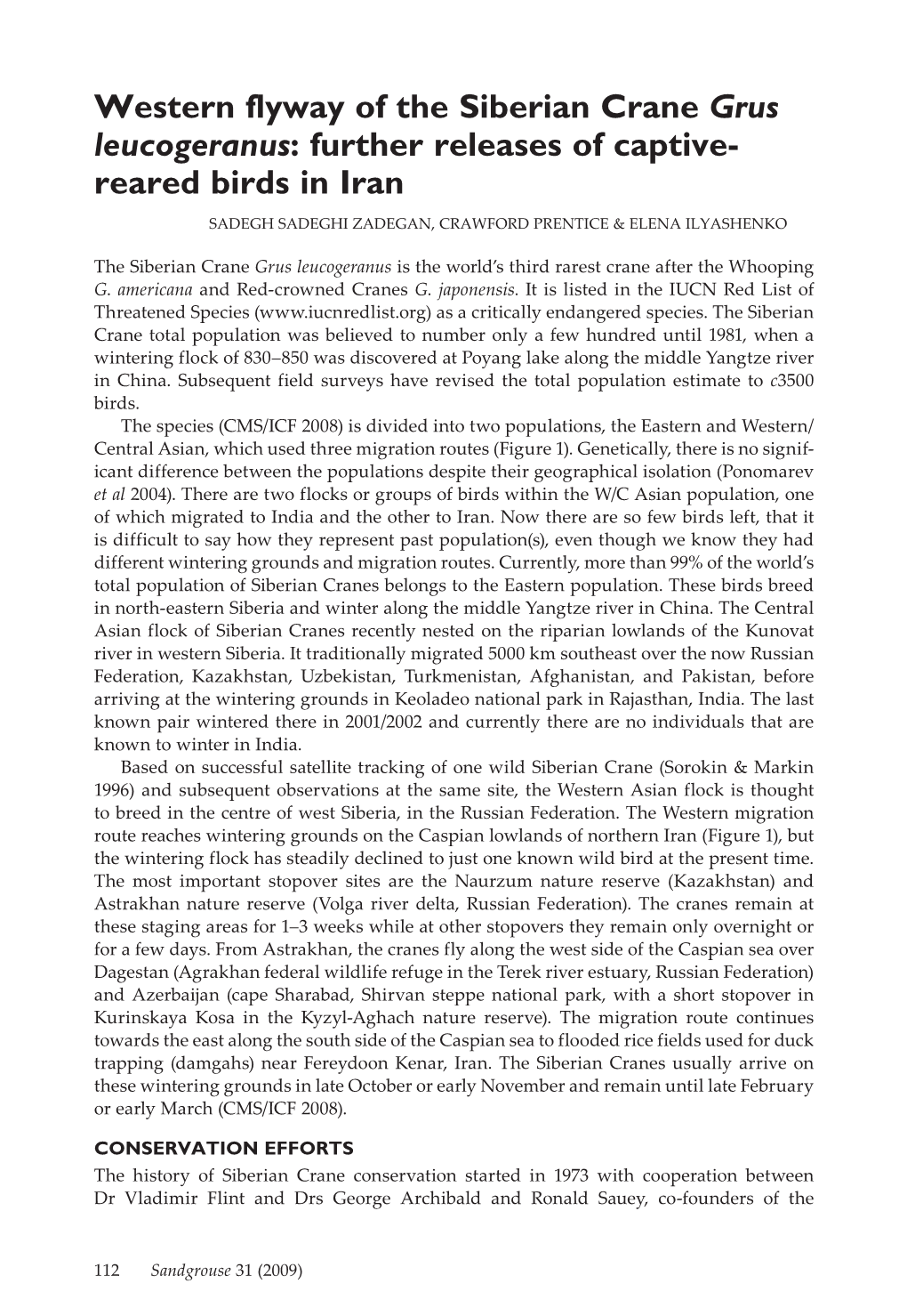 Western Flyway of the Siberian Crane Grus Leucogeranus: Further Releases of Captive- Reared Birds in Iran Sadegh Sadeghi Zadegan, Crawford Prentice & Elena Ilyashenko