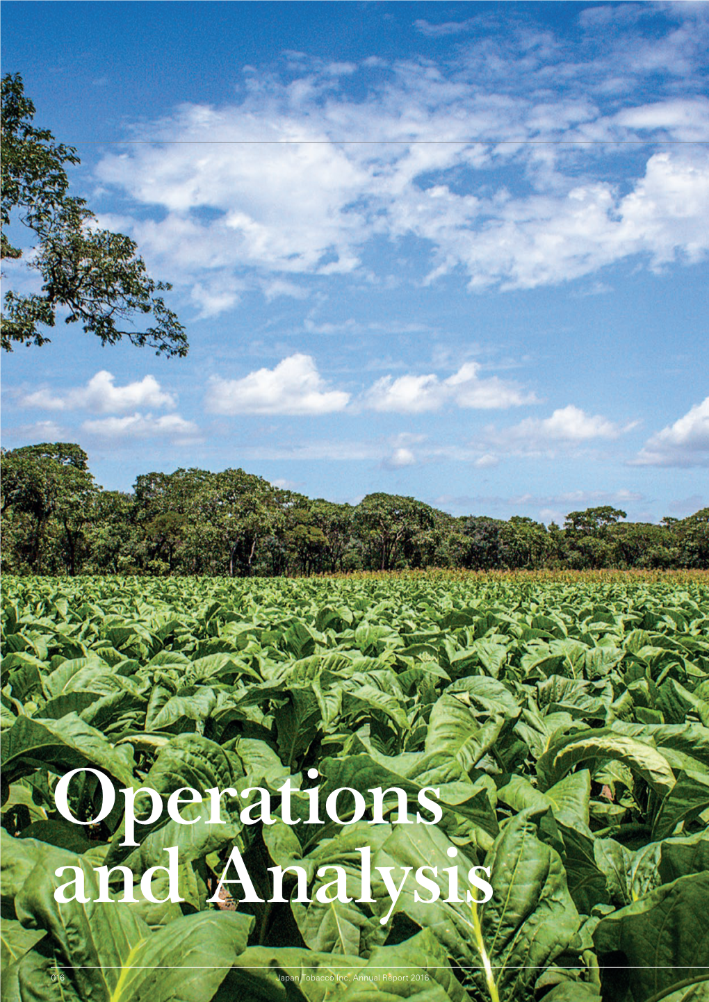 016 Japan Tobacco Inc. Annual Report 2016 Operations & Analysis