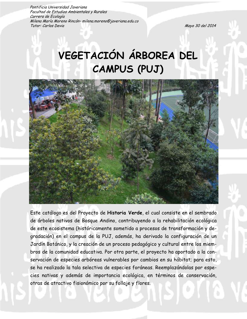 Vegetación Árborea Del Campus (Puj)