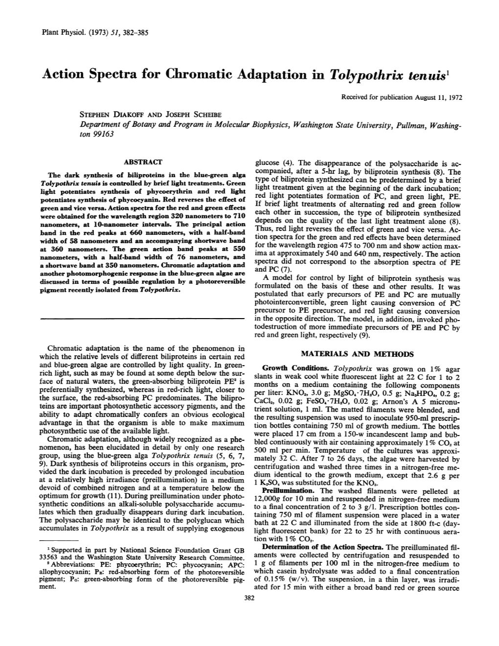 Action Spectra for Chromatic Adaptation in Tolypothrix Tenuist