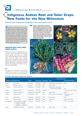 Indigenous Andean Root and Tuber Crops: New Foods for the New Millennium