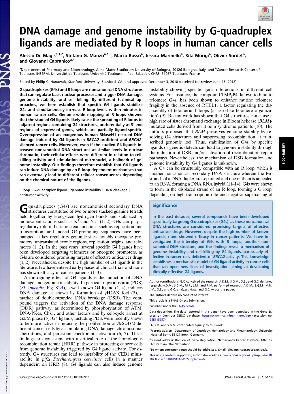 DNA Damage and Genome Instability by G-Quadruplex Ligands Are Mediated by R Loops in Human Cancer Cells