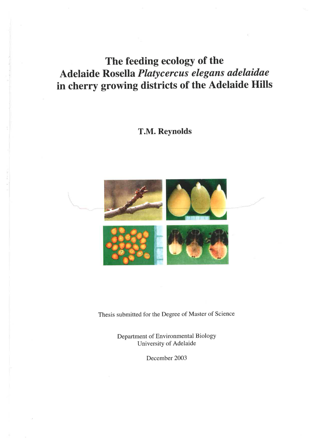 The Feeding Ecology of the Adelaide Rosella Platycercus Elegans
