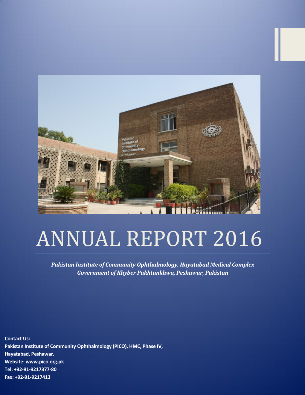 PICO Annual Report 2016