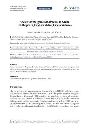 Review of the Genus Apotrechus in China (Orthoptera, Gryllacrididae, Gryllacridinae)