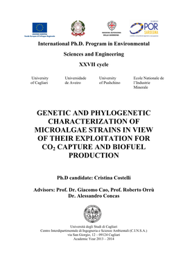 Genetic and Phylogenetic Characterization of Microalgae Strains in View of Their Exploitation for Co2 Capture and Biofuel Production