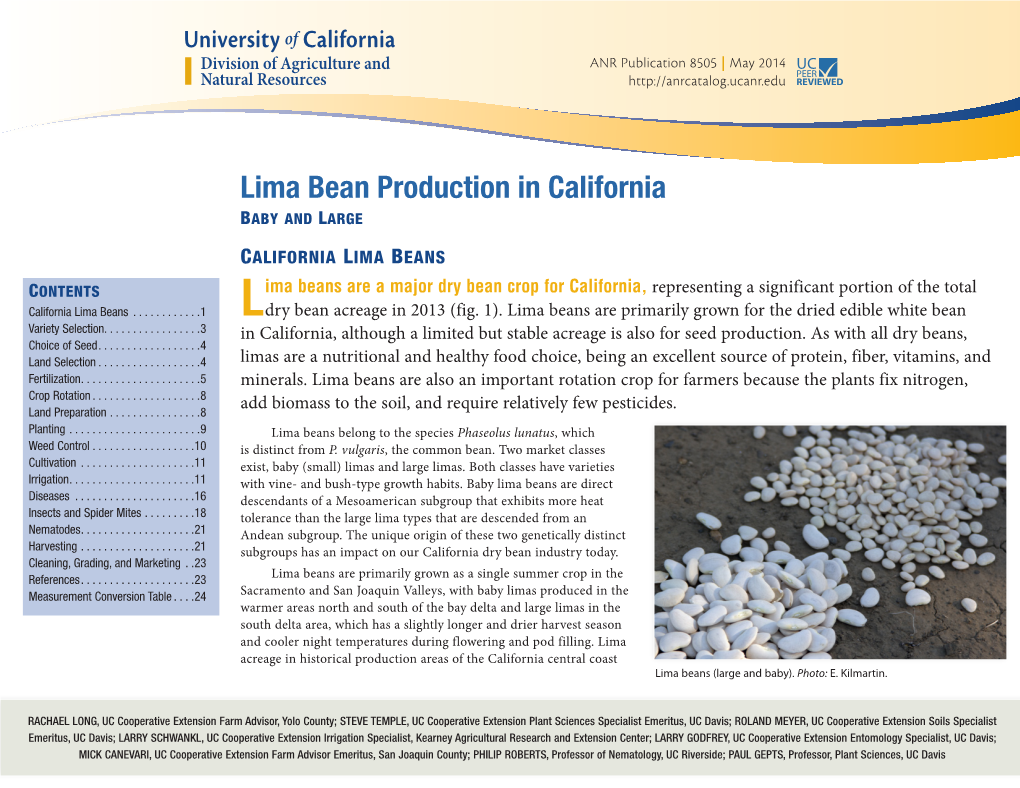 Lima Bean Production in California Baby and Large