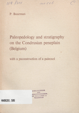 Paleopedology and Stratigraphy on the Condrusian Peneplain (Belgium)