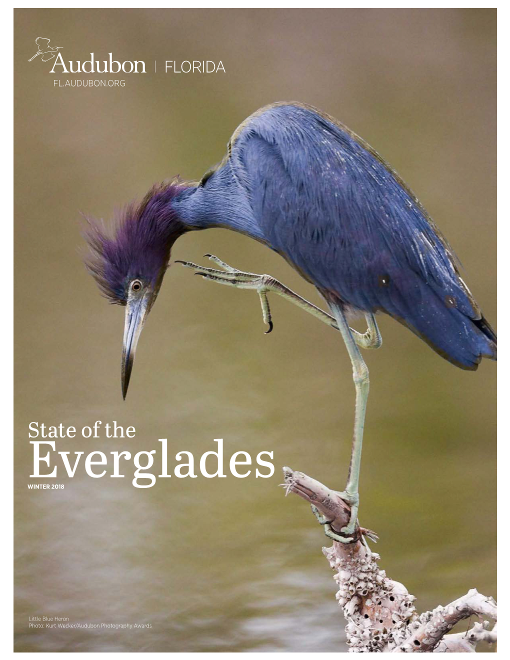 Audubon FL Winter 2018 State of the Everglades