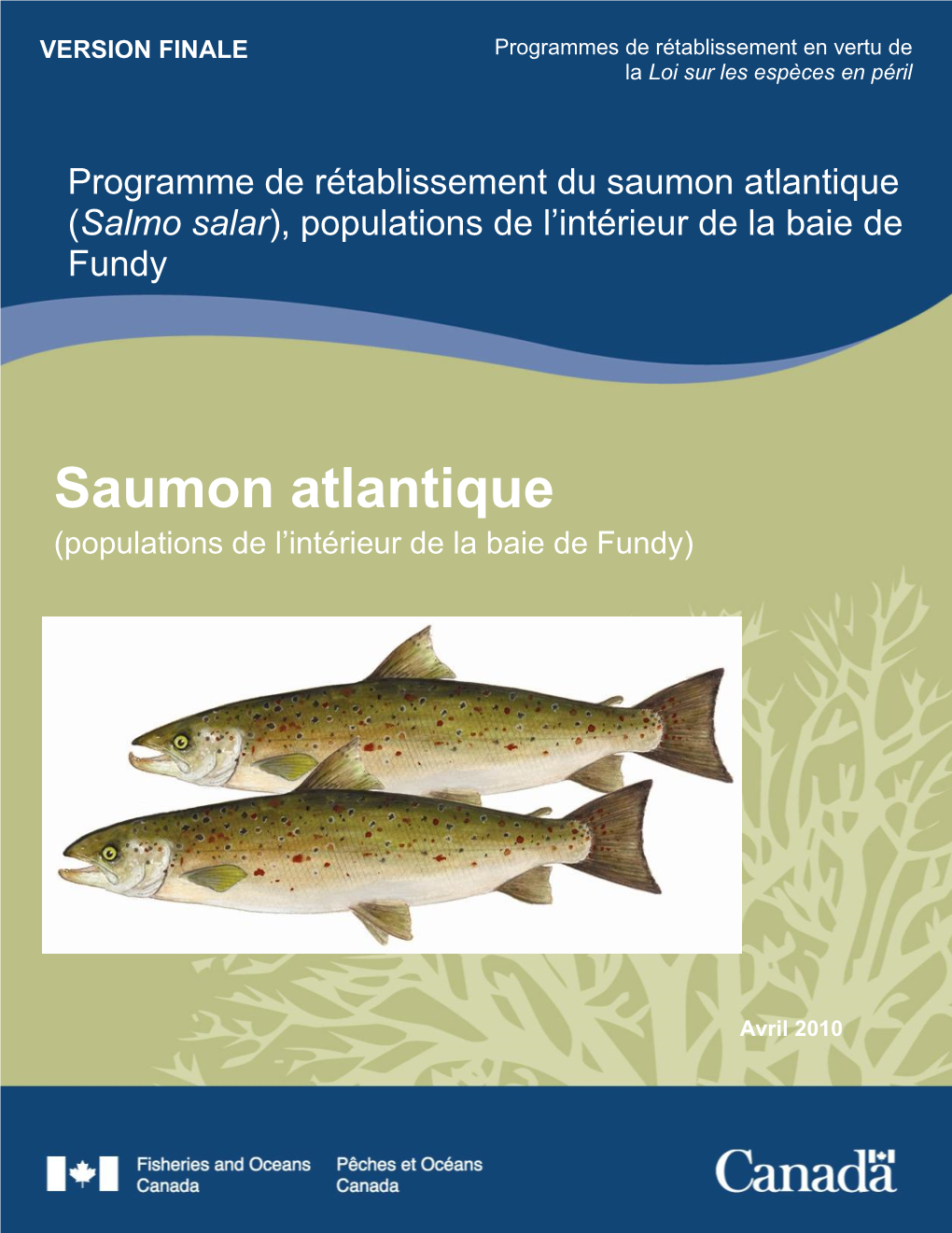 Programme De Rétablissement Du Saumon Atlantique (Salmo Salar), Populations De L’Intérieur De La Baie De Fundy