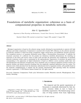 Coherence As a Basis of Computational Properties in Metabolic Networks