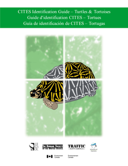 Turtles & Tortoises Guide D'identification CITES