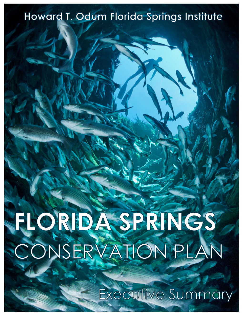 Springs Conservation Plan Executive Summary.Pub