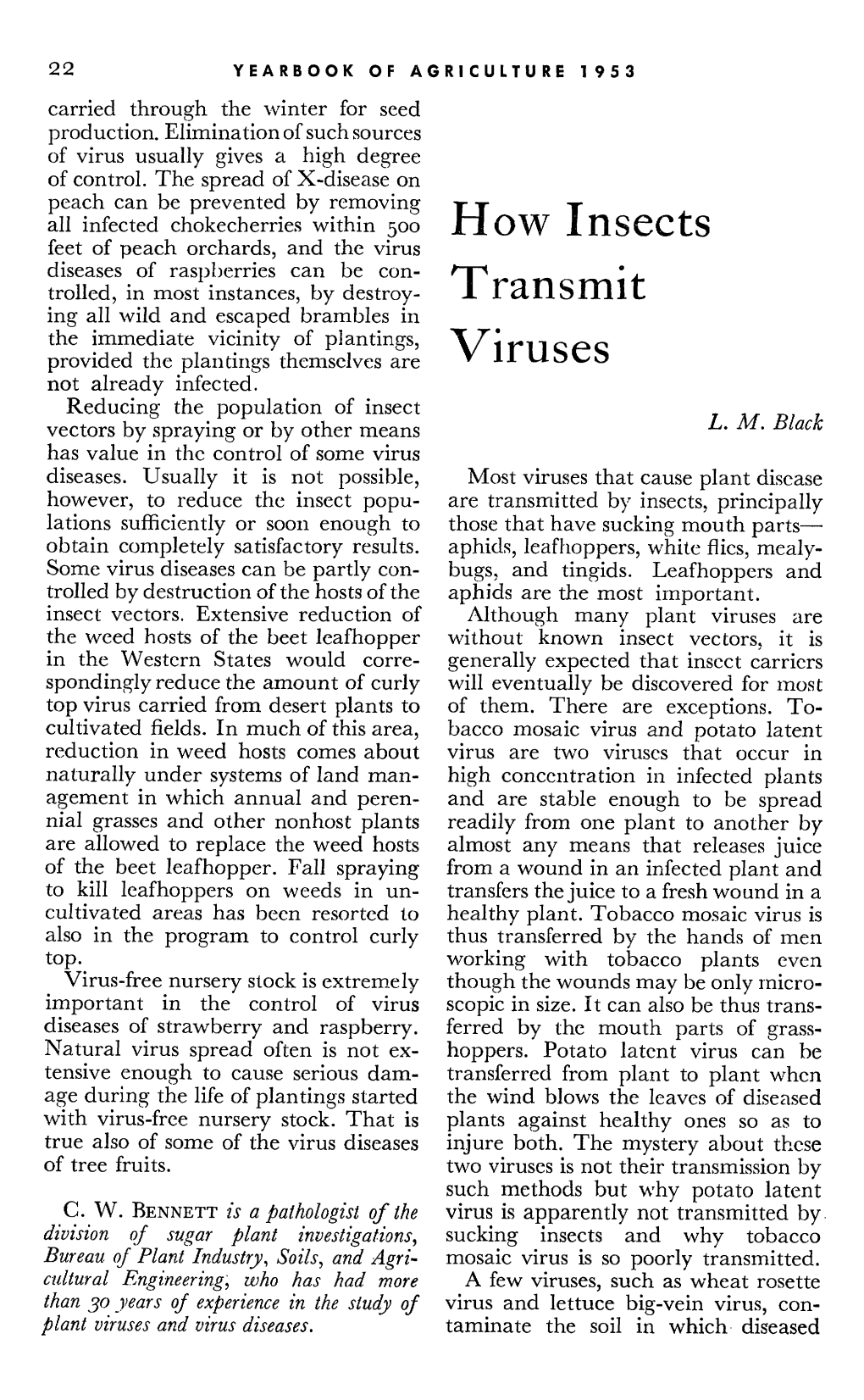 HOW INSECTS TRANSMIT VIRUSES 23 Plants Are Grown and Infect Healthy Such Loss and for Many Other Features Plants Subsequently Grown Therein