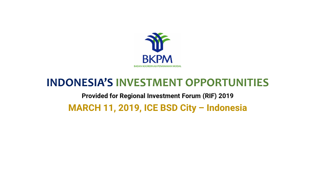 Indonesia's Investment Opportunities