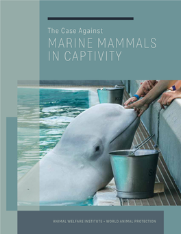 Marine Mammals in Captivity