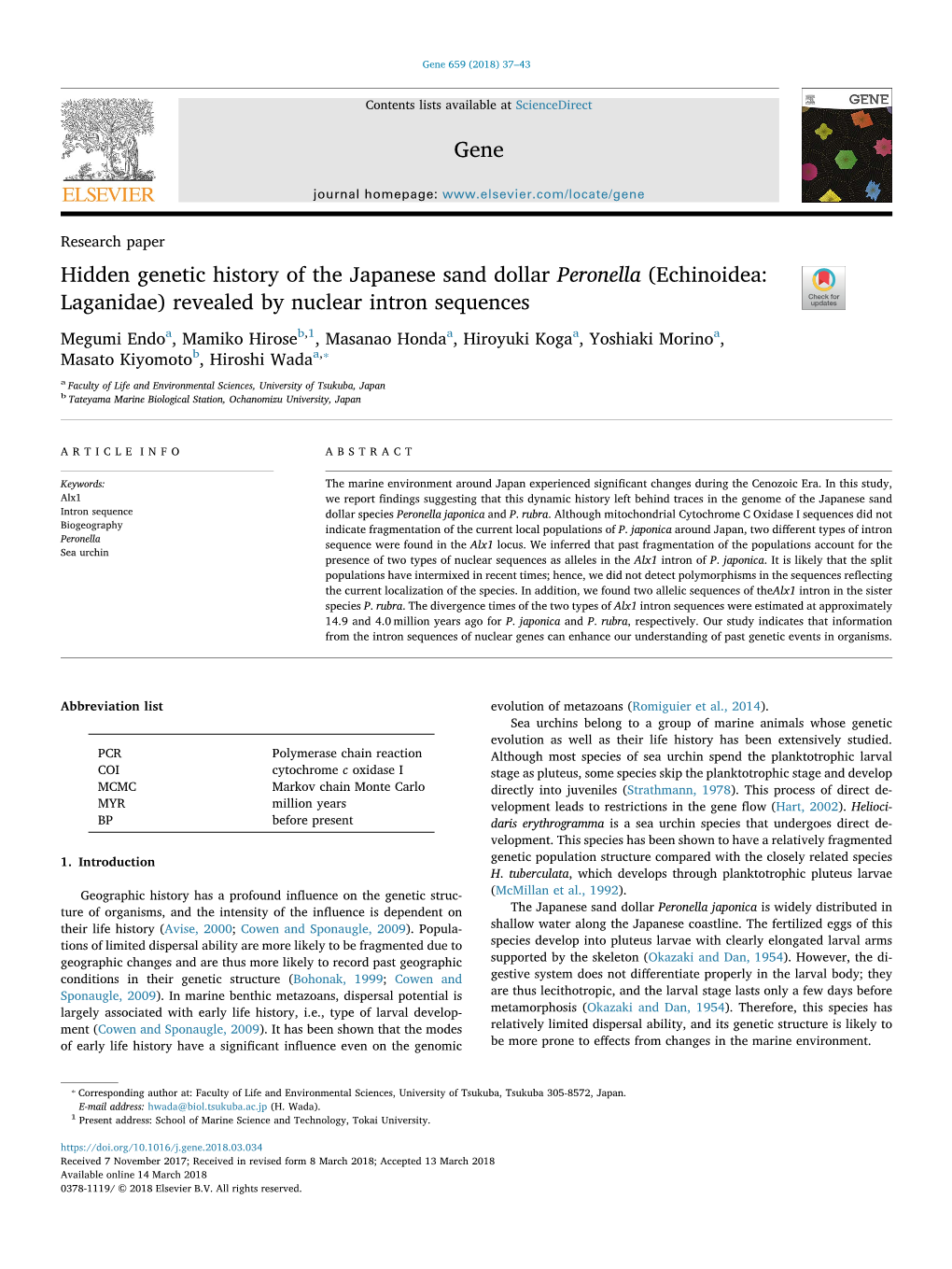 Hidden Genetic History of the Japanese Sand Dollar Peronella (Echinoidea: T Laganidae) Revealed by Nuclear Intron Sequences