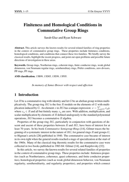 Finiteness and Homological Conditions in Commutative Group Rings