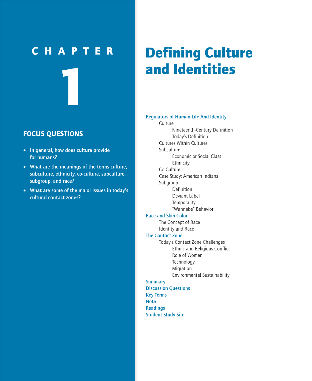 Defining Culture and Identities 5