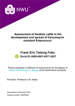 Frank Eric Tatsing Foka
