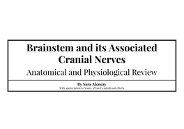 Brainstem and Its Associated Cranial Nerves