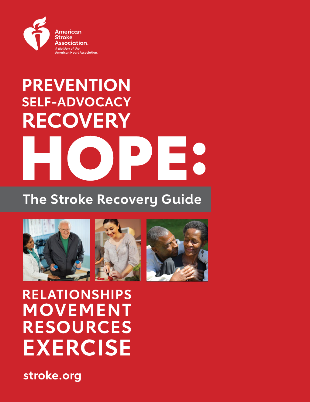 Hope: the Stroke Recovery Guide